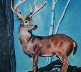 artist-oil painting white tail details
