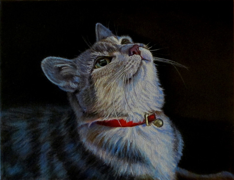 artist oil painting cat wait for it