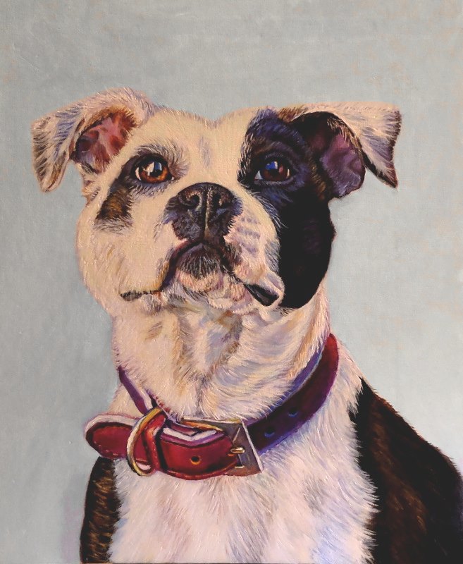 artist oil painting pit bull portrait
