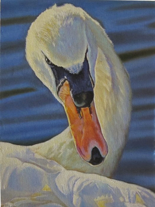 artist-oil-painting-swan-graceful-malevolence