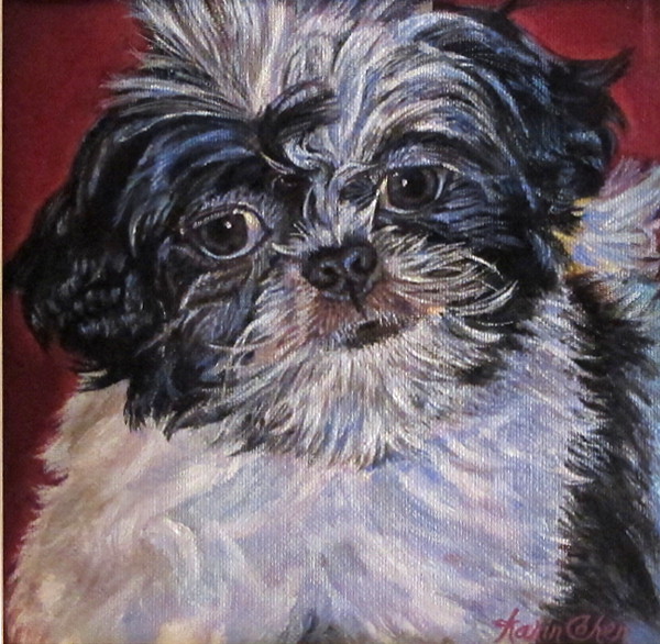 Oil painting commissioned Charlie Shih tzu