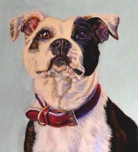artist oil painting pit bull dog