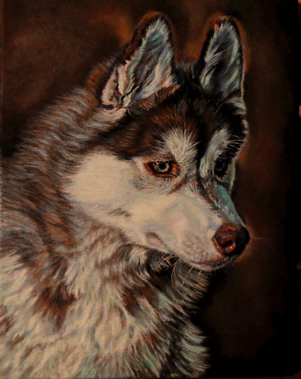 artist oil painting red siberian husky