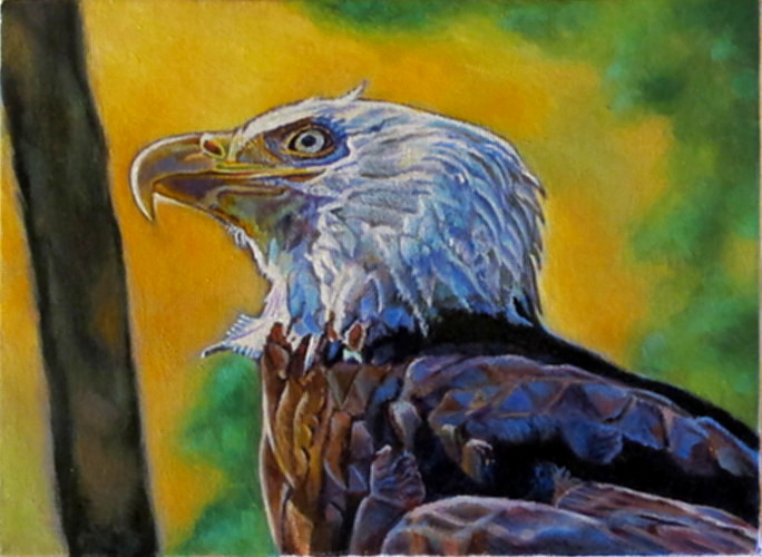 artist oil painting eagle ready to soar Karin Cohen
