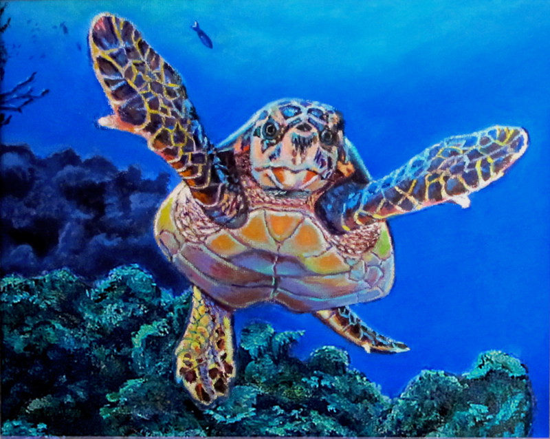 Turtle Oil Painting