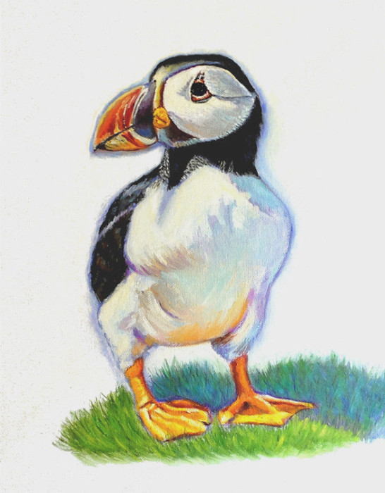 artist oil painting Gary Jones Puffin