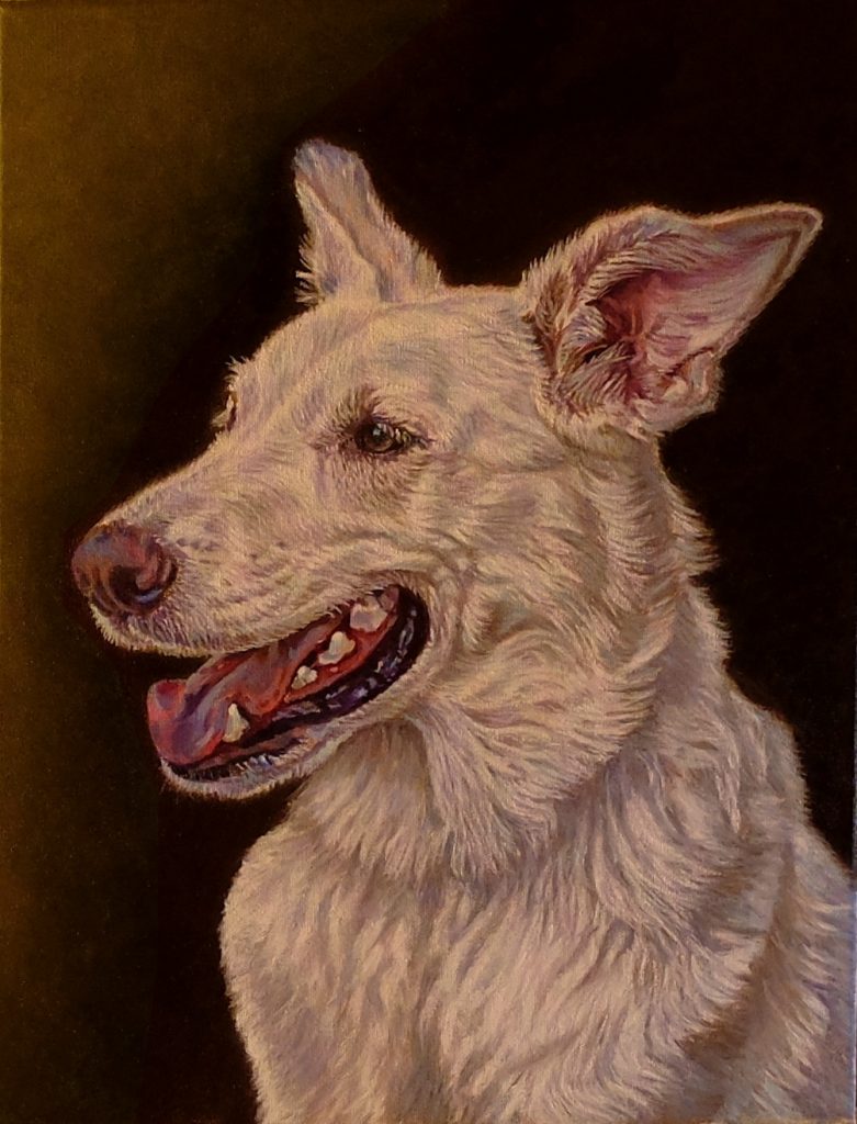 commissioned oil painting white german shepherd dog